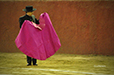 Eloy Cavazos "Torero de Puerta Grande"