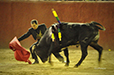 Eloy Cavazos "Torero de Puerta Grande"