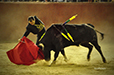 Eloy Cavazos "Torero de Puerta Grande"