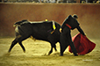 Eloy Cavazos "Torero de Puerta Grande"