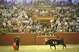 Eloy Cavazos "Torero de Puerta Grande"