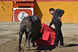 Eloy Cavazos "Torero de Puerta Grande"