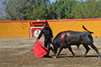 Eloy Cavazos "Torero de Puerta Grande"