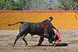 Eloy Cavazos "Torero de Puerta Grande"