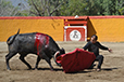 Eloy Cavazos "Torero de Puerta Grande"