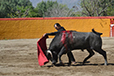 Eloy Cavazos "Torero de Puerta Grande"