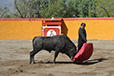 Eloy Cavazos "Torero de Puerta Grande"