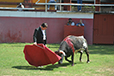 Eloy Cavazos "Torero de Puerta Grande"