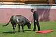 Eloy Cavazos "Torero de Puerta Grande"