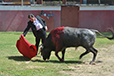 Eloy Cavazos "Torero de Puerta Grande"