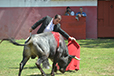 Eloy Cavazos "Torero de Puerta Grande"