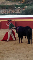 Maestro Pepín Liria